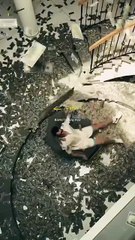 جگ جی لگانے کی دنیا نہیں ہے