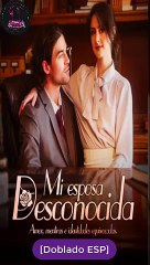 Mi esposa desconocida serie completa