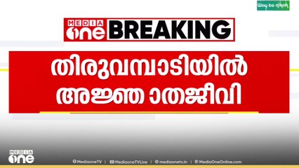 കോഴിക്കോട് തിരുവമ്പാടിയിൽ പുലിയുടെ രൂപസാദൃശ്യമുള്ള ജീവിയെ കണ്ടതായി നാട്ടുകാർ