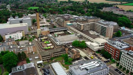 Cancer Detectives Finding the Cures S01E02