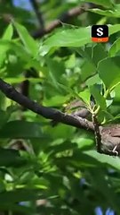 Tes regrets arrivent trop tard, ex-ch�ri - Obtenez ShortMax pour l'�pisode complet