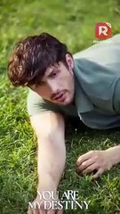 His CEO grandpa doesn't want a useless heir�so I gave him my cornea to save him! -You Are My Destiny