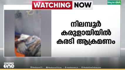 കരുളായിയിൽ കരടി ആക്രമണം...ആക്രമണത്തിൽ വള്ളിക്കെട്ട് നഗറിലെ കീരന് പരിക്കേറ്റു