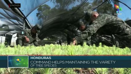 HONDURAS l Country's forested territory demands permanent care