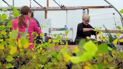 Countryfile 1988 Season 37 Episode 47 Engsub