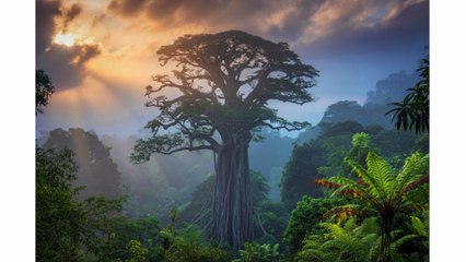 Copy of A 50 PAGE BOOKLET ABOUT MAJESTIK 12  PUB DM 30 11 25