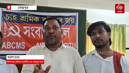 চাহ শ্ৰমিকলৈ ভূমিপট্টা : চৰকাৰৰ সিদ্ধান্তকলৈ কি ক'লে চাহ মজদুৰ সংঘই ?