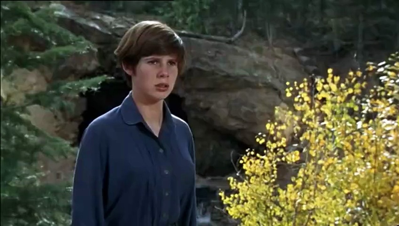 Der Marshal Trailer DF