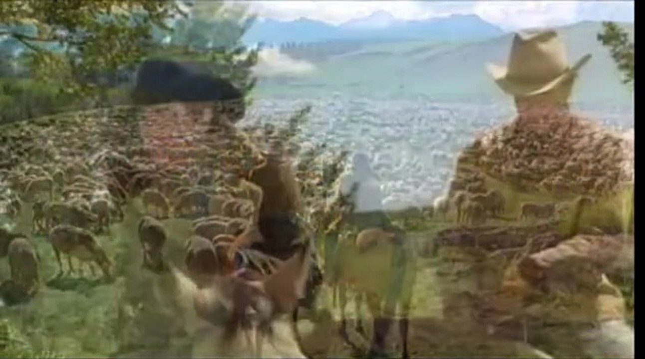 Brokeback Mountain Trailer DF