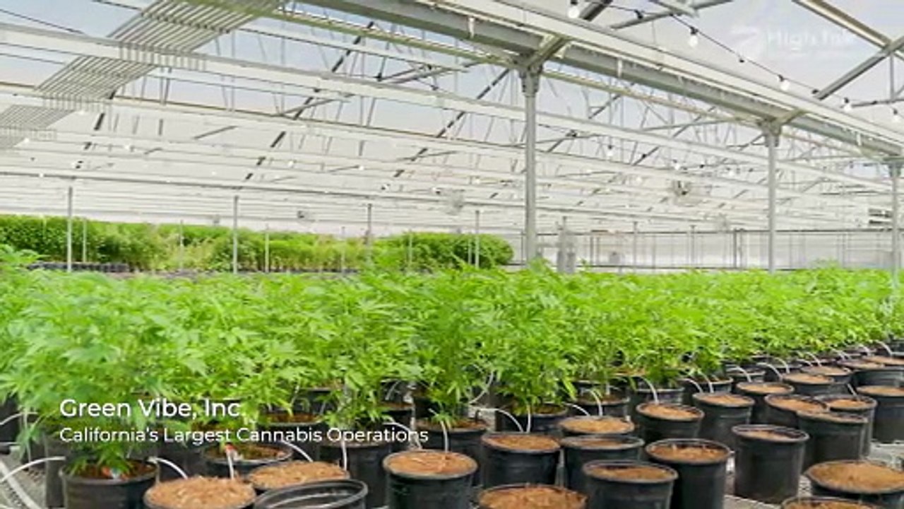 See how GREEN VIBE uses High Tek automation to increase production!
