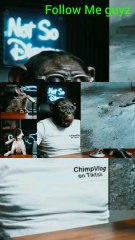 Funny Chimp podcast..follow Me plz