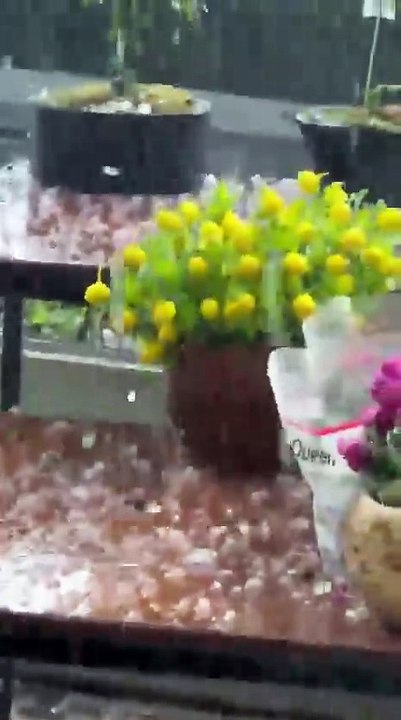 İzmir’de yağış etkisini artırıyor: Çeşme’de dolu etkili oldu
