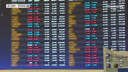 증시 훈풍?…배당소득 분리과세 내년부터 시행