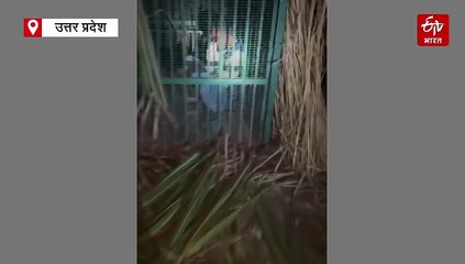 VIDEO : तेंदुए को पकड़ने के लिए लगाए पिंजरे में फंसा युवक, बकरी संग 2 घंटे तक रहा बंद, बोला- मैं चेक करने आया था