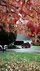 [NEW drama🎀] Did you see it? My sincerity-#shortdrama #lovestory #romance  #cinderella