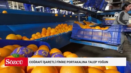 Almanlar Türkiye’den almak için sıraya girdi: Günde 500 ton hasat edilen ürüne yoğun ilgi