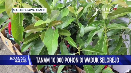 Tanam 10.000 Pohon di Waduk Selorejo