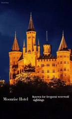 Forbidden Desire - Alpha's Love full movie #dailymotion