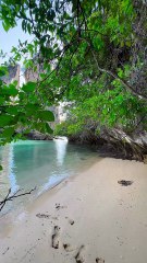 natural scene beautiful natural scenery