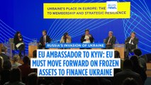 EU must move forward on frozen assets to finance Ukraine, EU ambassador to Kyiv says