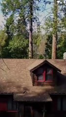 My Ex's Best Friends