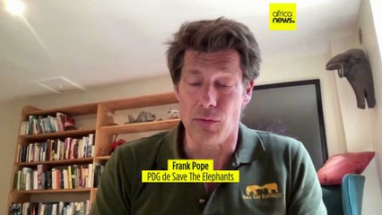 Kenya : une nouvelle étude révèle que les éléphants s'adaptent au bruit des drones