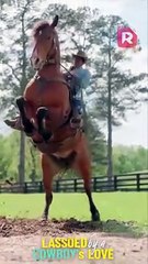 She Didn't Plan to Fall for A Cowboy� But Fate Had Other Ideas - ReelShort