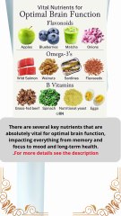 vital nutrients for optimal brain function