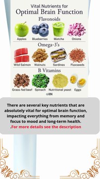 vital nutrients for optimal brain function
