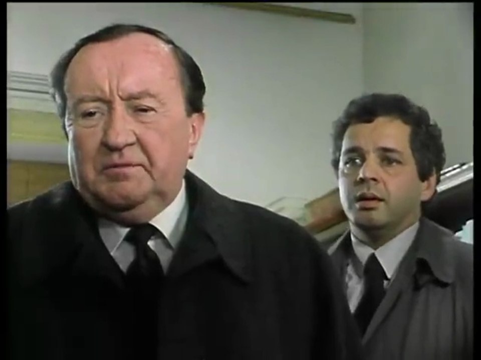 Der Alte - Folge 61 - Eine Frau ist verschwunden