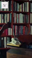 💛🍏 🔥 Spoiled Rotten Full Movie HD - Best Drama ShortFilms Hot Romantic