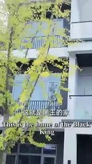 System reset reclaim myself chinese drama