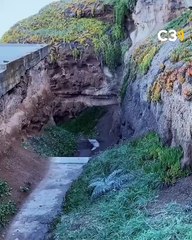 "Murió por una selfie": conmoción por el trágico final de Leticia Lembi de 33 años