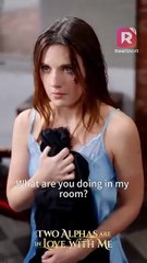 Play don't play with me, Alpha. I'm just a maid. | Two Alphas Are in Love with Me | ReelShort