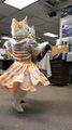 Cats are good in dance enjoy