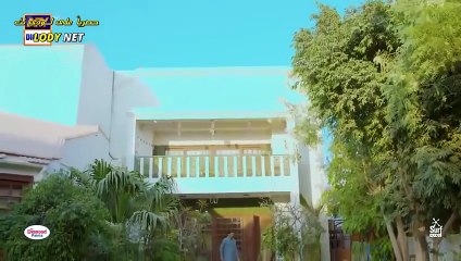 مسلسل شير Sher الحلقة 36 السادسة والثلاثون مترجمة Hd