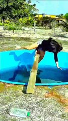 You Won’t Believe This Reaction 😭🤣 | Try Not To