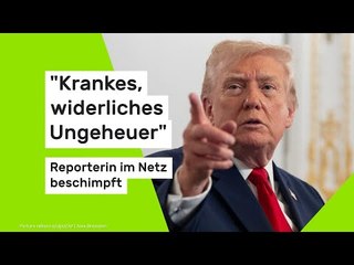"Krankes, widerliches Ungeheuer" - Reporterin im Netz beschimpft