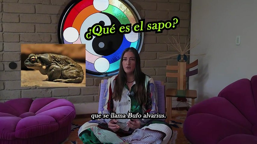 Yannina Thomassiny_ “La psicodelia nos conecta con lo que realmente somos”