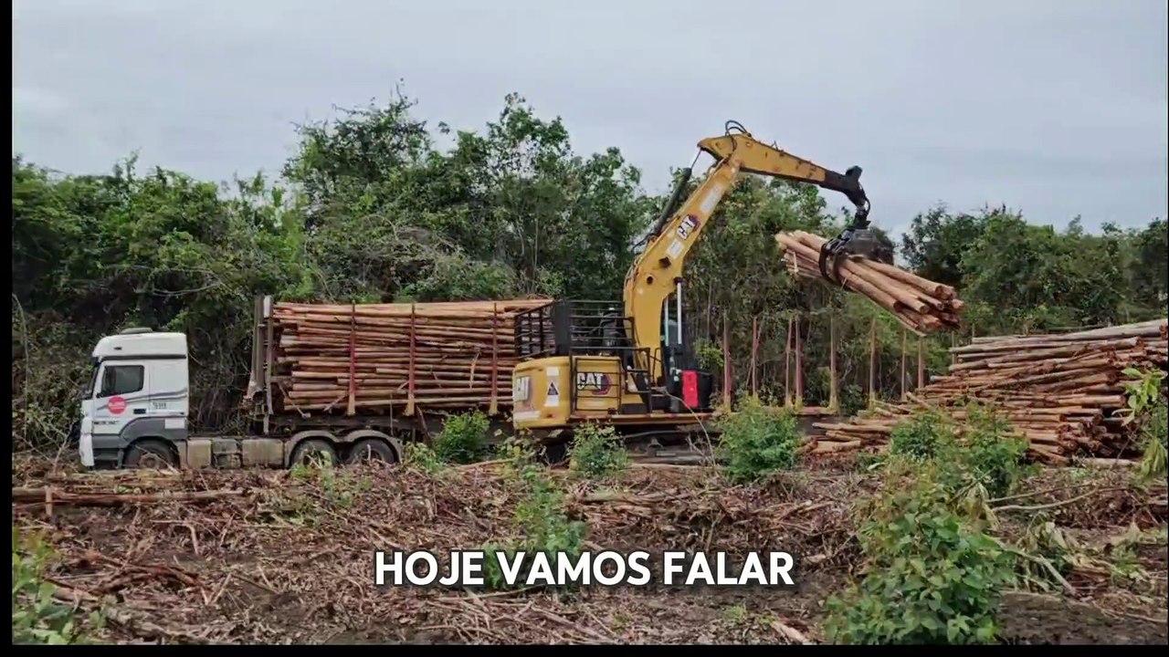 Padrão Ouro