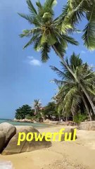 Benefits of Coconut Water #healthylifestyle #wellness #food#shorts