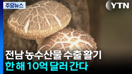 원목 표고 등 전남 농수산물 수출 활기... 한 해 10억 달러 간다 / YTN