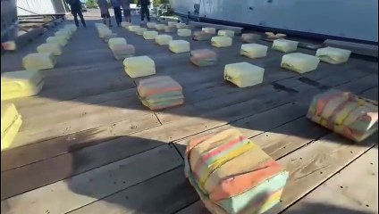 Mayor golpe al narcotráfico de 2025: DNCD decomisa 1.5 toneladas de coca en Peravia