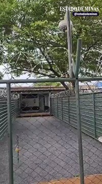 STF divulga vídeo sobre condições da 'Papudinha', onde está preso Anderson Torres