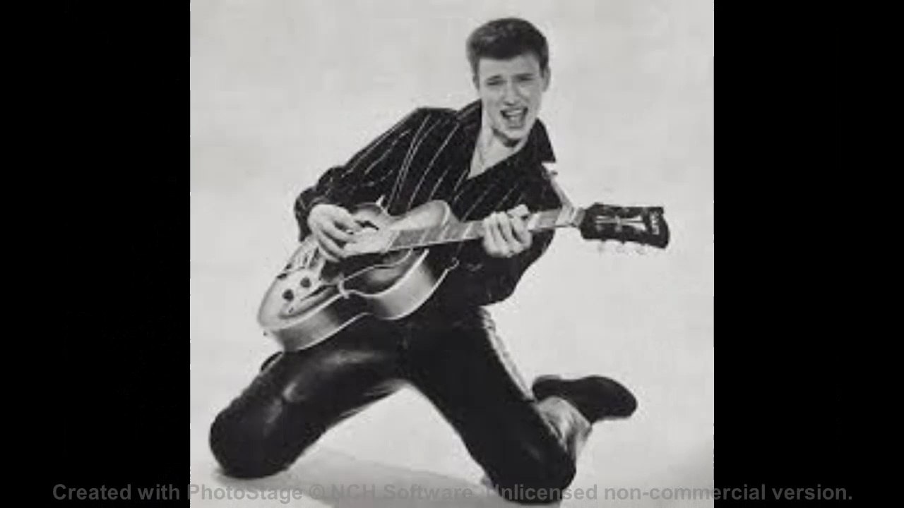 JOHNNY HALLYDAY STORY 1
