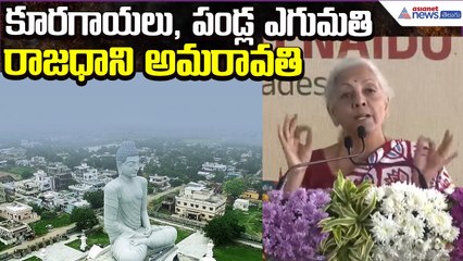 కూరగాయలు, పండ్ల ఎగుమతి రాజధాని అమరావతి: Finance Minister Nirmala Sitharaman | Asianet News Telugu