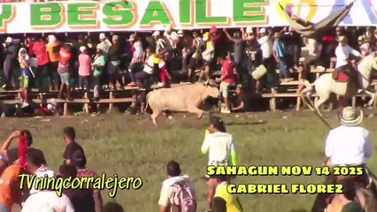 Corralejas Sahagún 2025 | Toros de Gabriel Florez & Álvaro Oliver