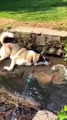 Wedding Date Secret #Shortminz