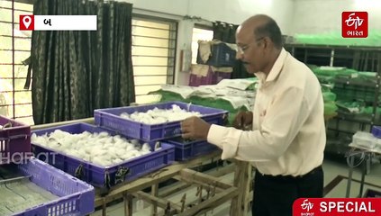 "એરંડાના પાનમાંથી બનશે રેશમ, ઈયળ ખેડૂતોને બનાવશે લખપતિ" દાંતીવાડાના કૃષિ વૈજ્ઞાનિકે કરી મહત્વપૂર્ણ શોધ