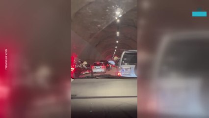 Two Dogs Fall in Love on the Highway